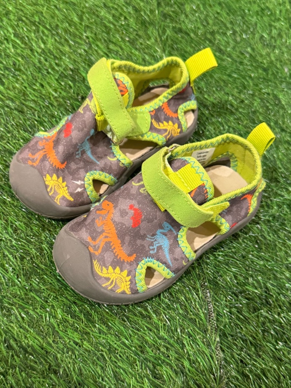Robeez Brown Dinosaur Water Shoes with Lime Trim